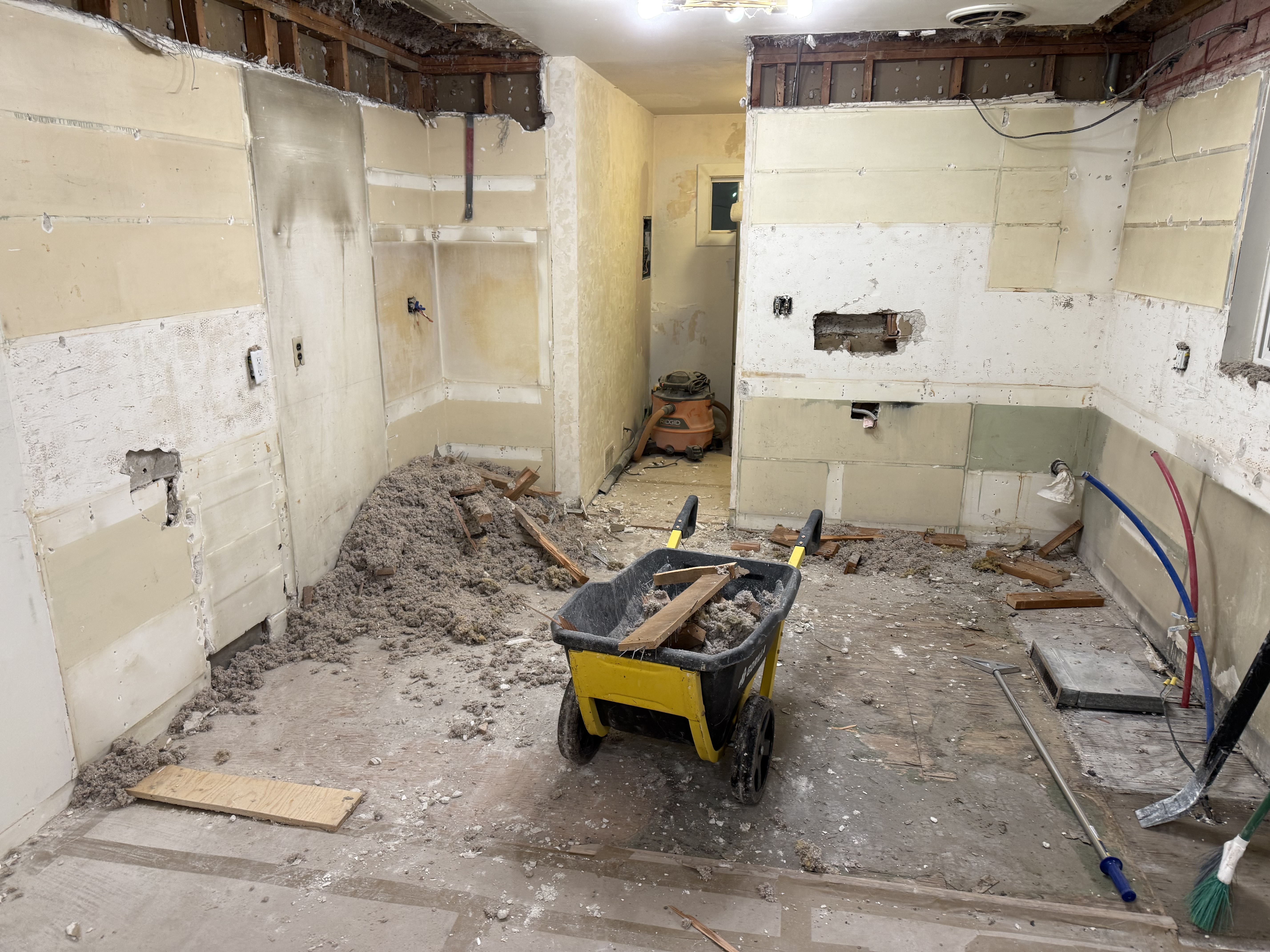 Kitchen demo in progress