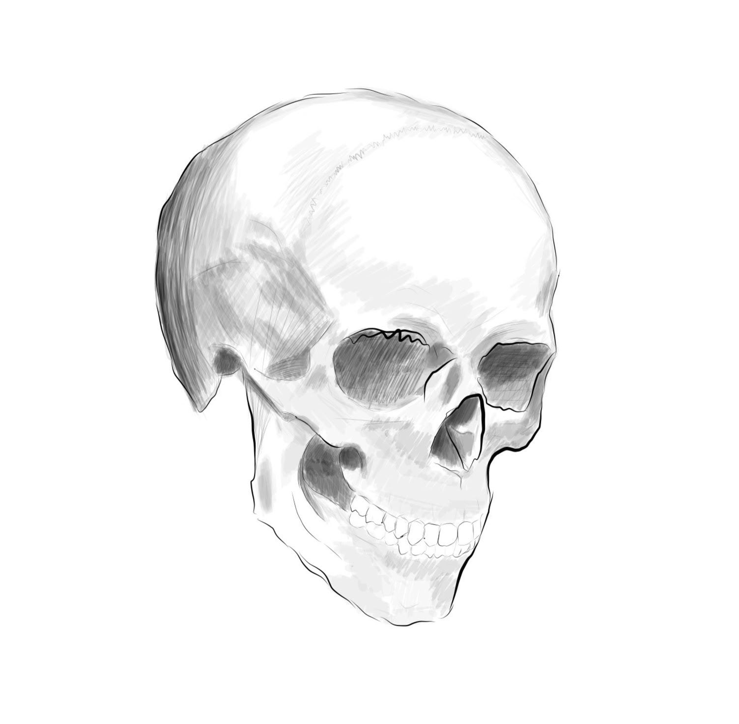 iPad Drawing