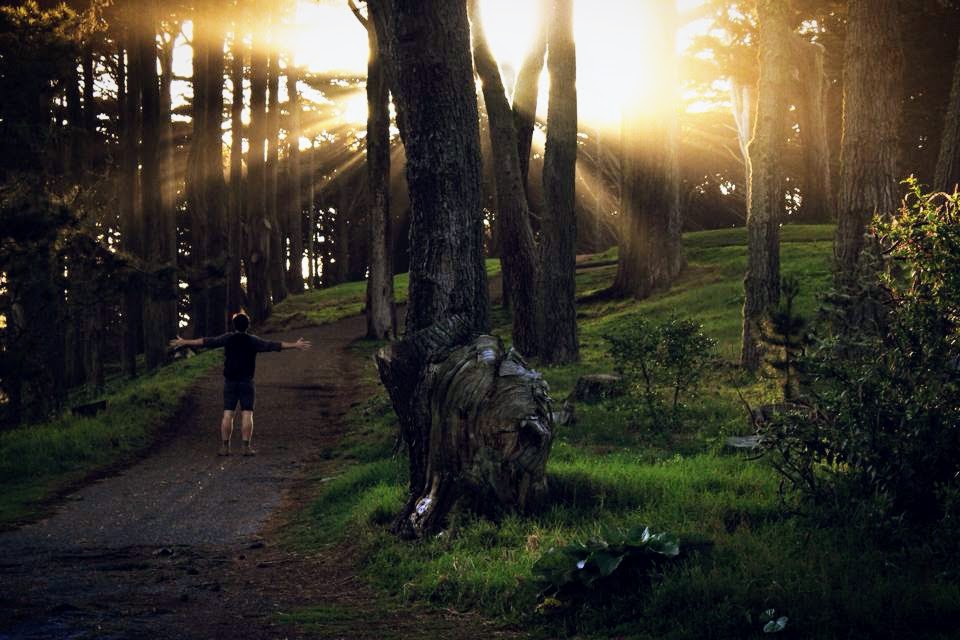 San Francisco Woods