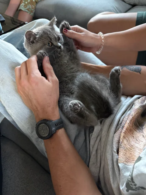 Nimbus & Hayden