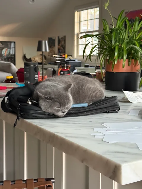 Nimbus Sleeping