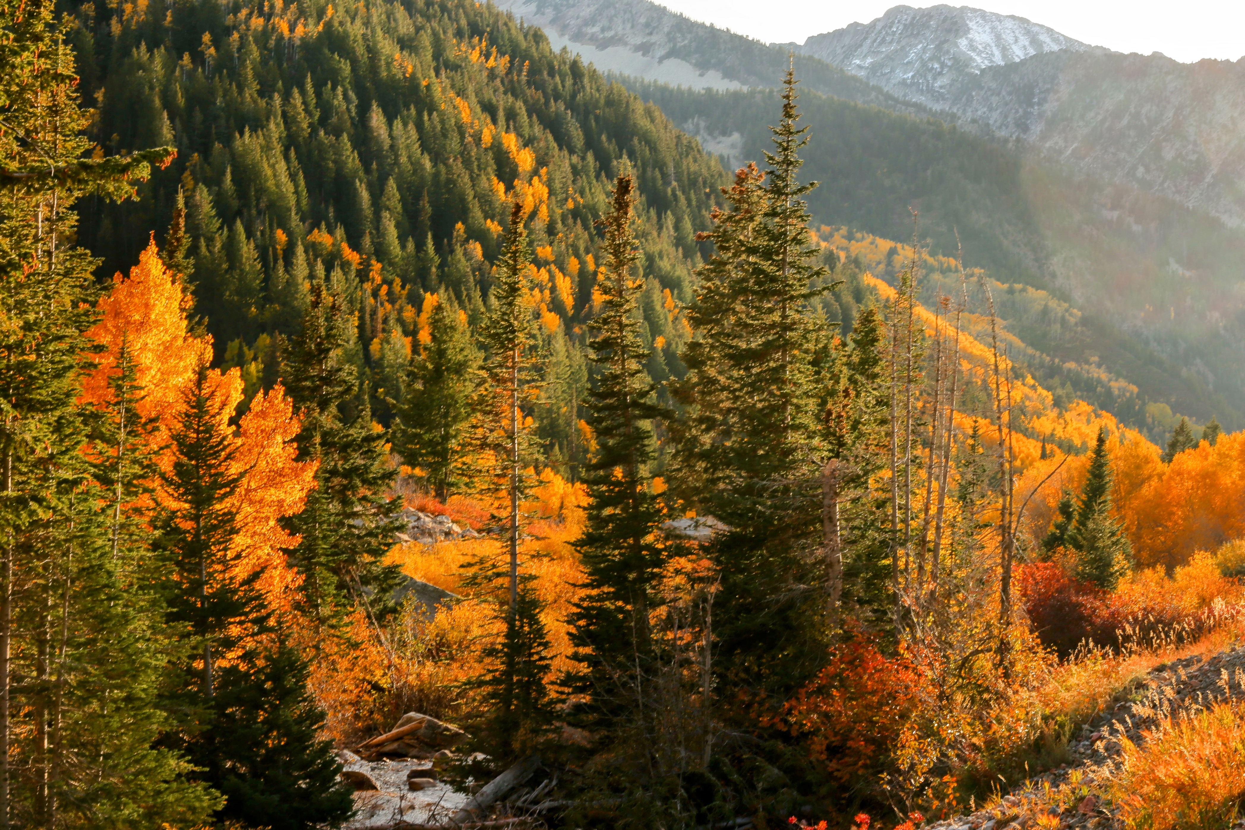 Utah Fall