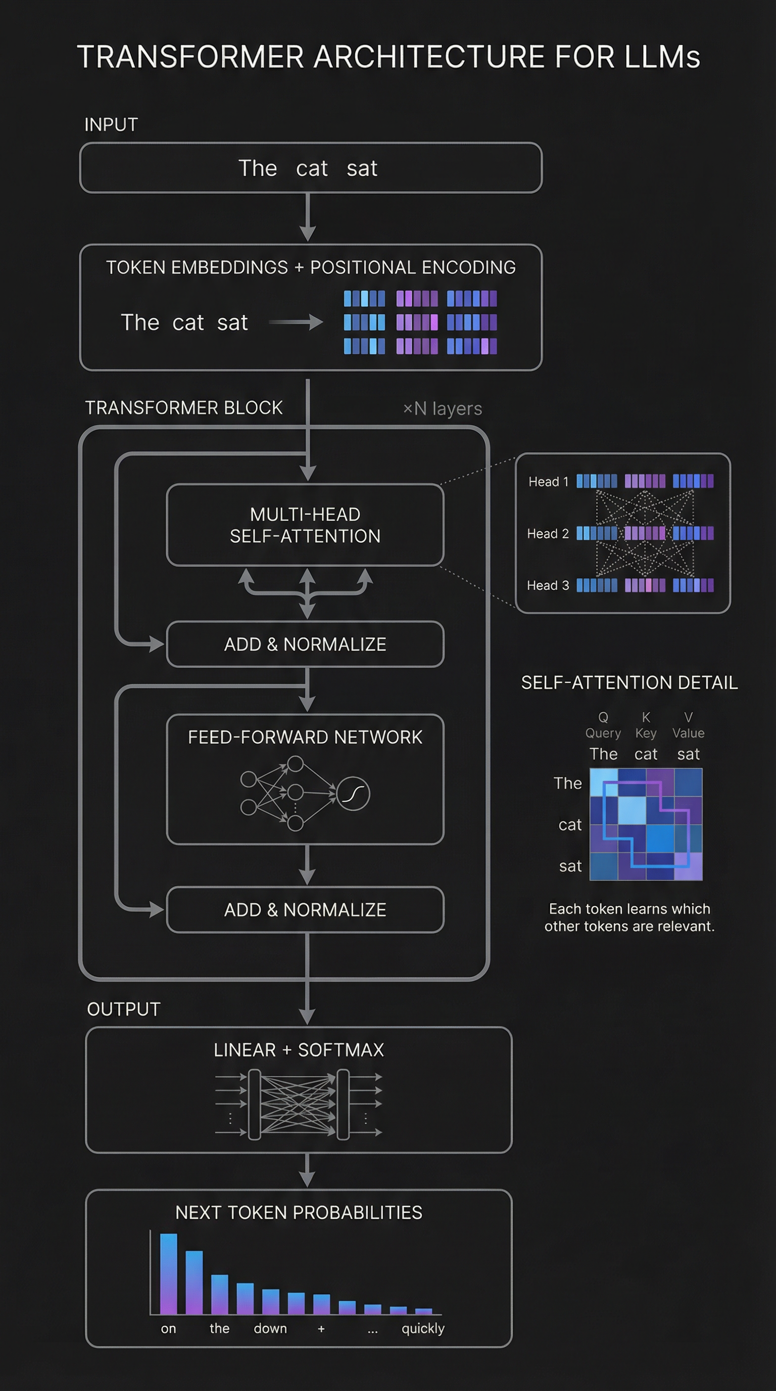 Transformer Architecture Diagram - showing input tokens flowing through embeddings, transformer blocks with self-attention and feed-forward networks, to output probabilities